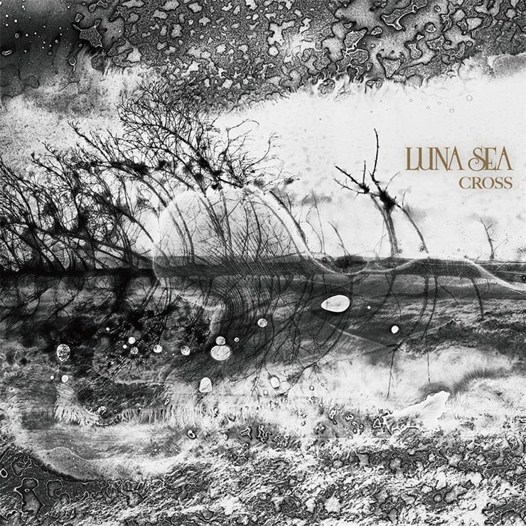 Astell ＆ Kern(AK) SA700 LUNA SEA 30th Anniversary Edition