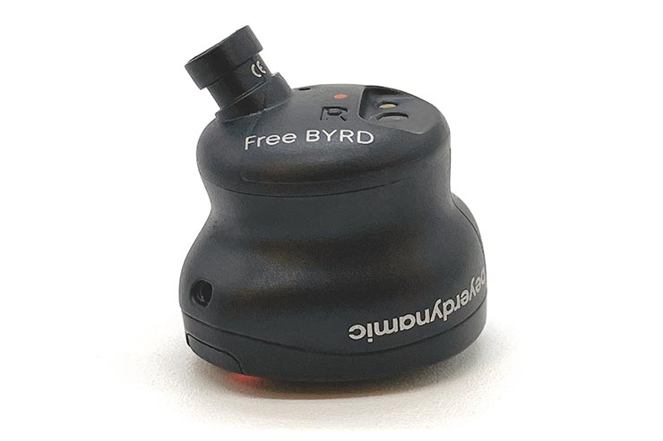 Free BYRD本体