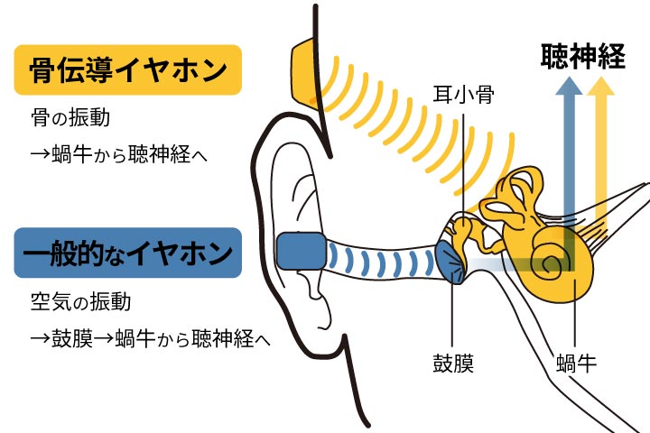 骨伝導の仕組みのイメージ