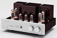 Triode Luminous84