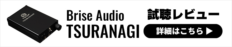 【試聴レビュー】Brise Audio TSURANAGI リケーブルメーカーがつくるポタアンの実力は？！
