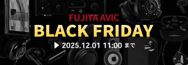 フジヤエービック ブラックフライデー
