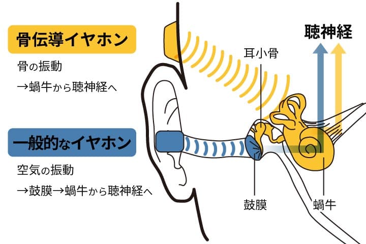 骨伝導の仕組み画像