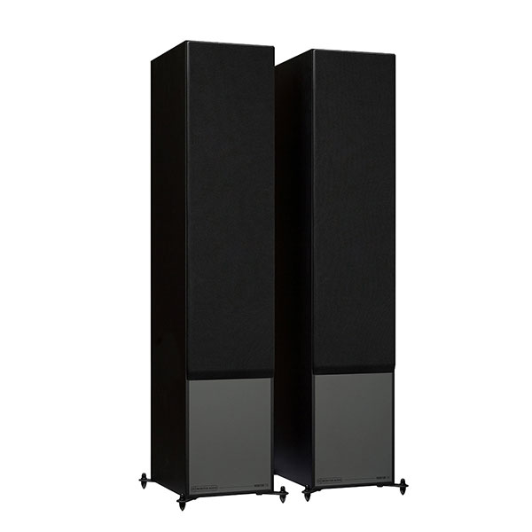 Monitor300/BK