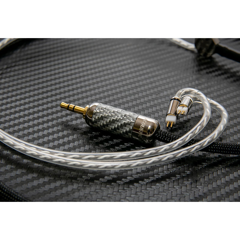 REC-absolute-FM Custom 2pin-2.5mm4極