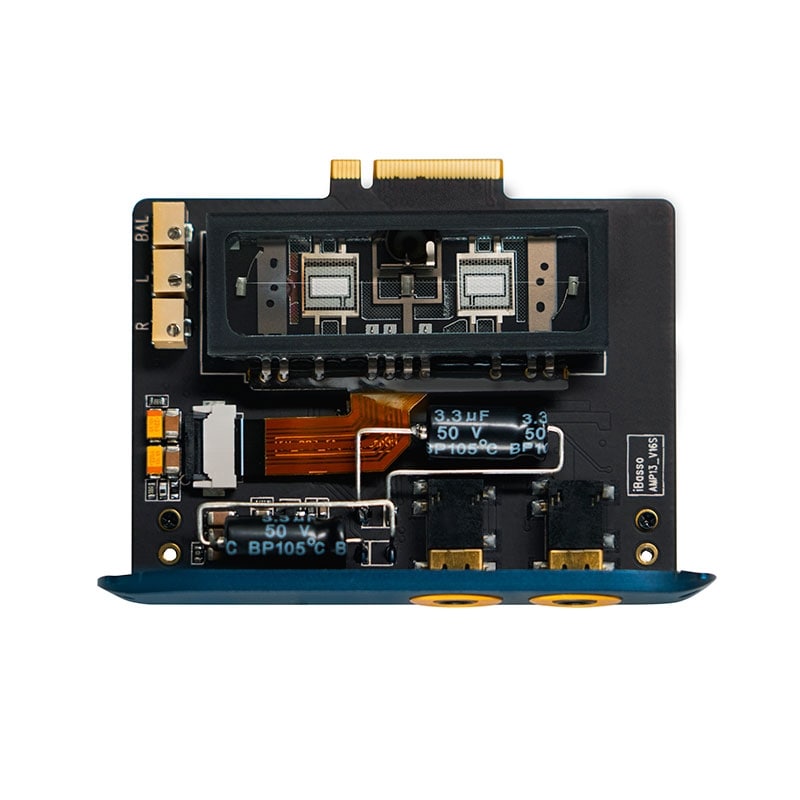 AMP13 (Blue)