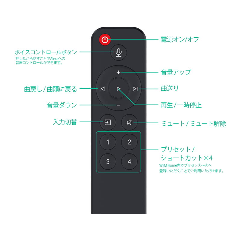 Voice Remote