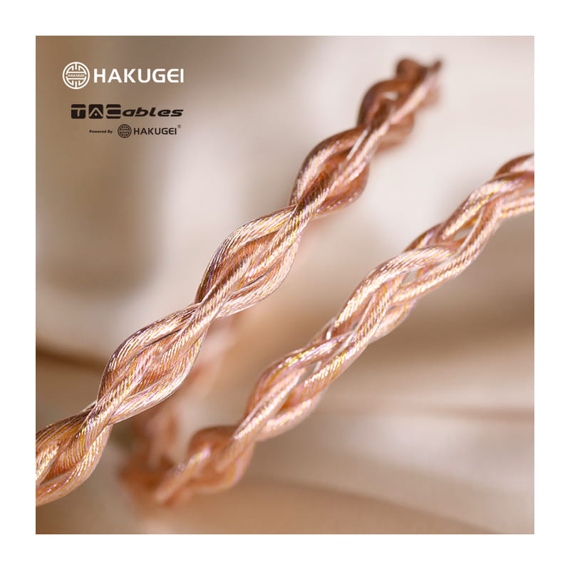 王翦 4.4mm MMCX