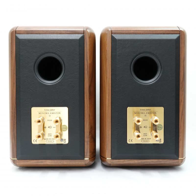ソナスファベール Sonus Faber Minima FM2(改造品)（ソナス
