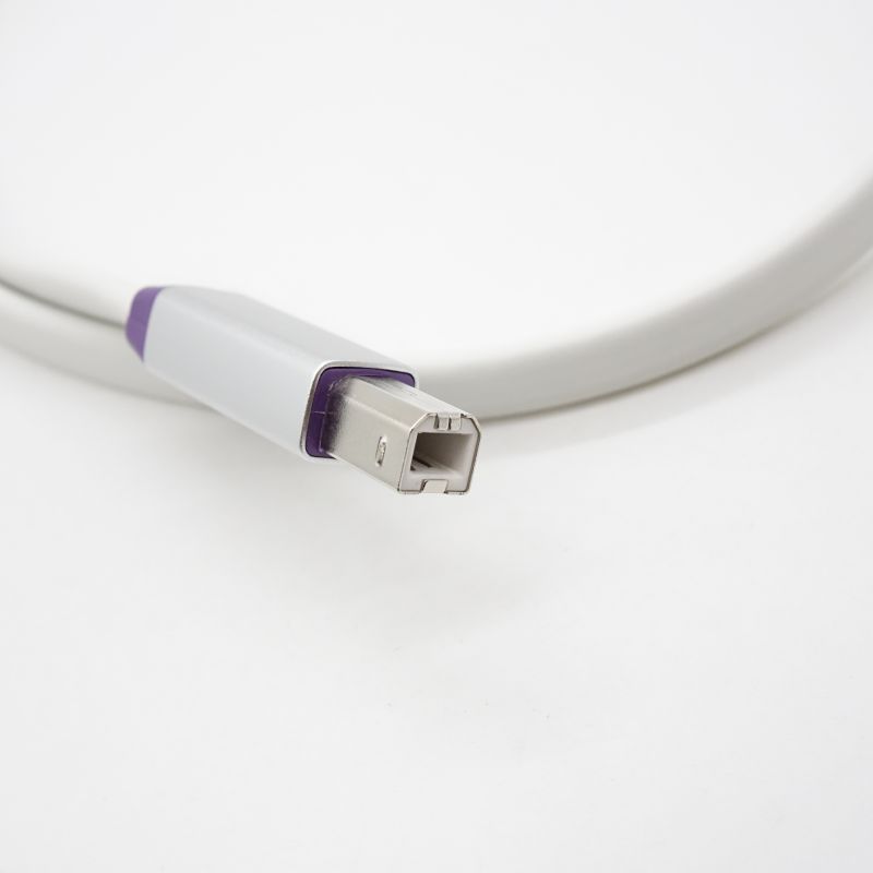 d+USB classS v2/1.0 [d+ USB Class S rev.2 (1.0m)]