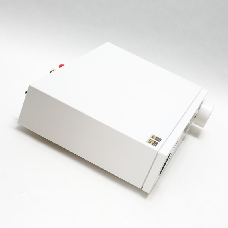 DX5 II White