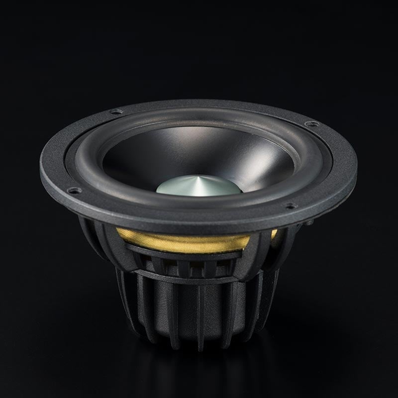 A100 BT5.0 WHHG