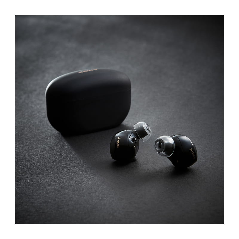 SednaEarfit XELASTEC II Standard  [イヤーピース MS/M/MLサイズ各1ペア] [AZL-XELASTEC II-ST-SET-M]