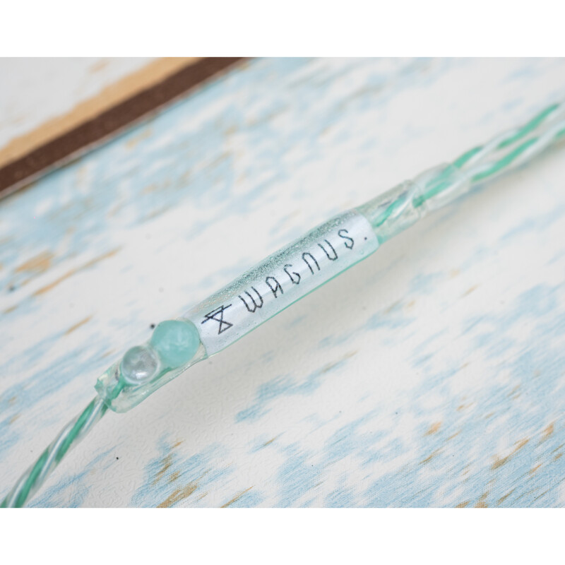 Ramune Soda Lily