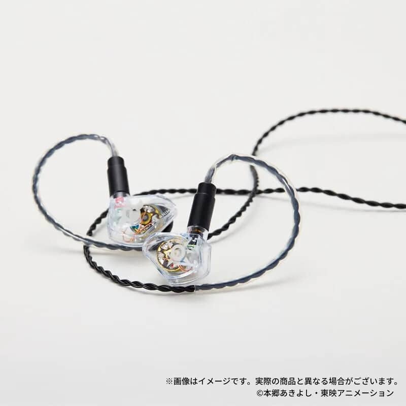 ANW-C010