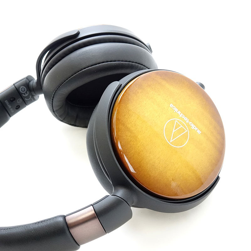 wp900 headphones