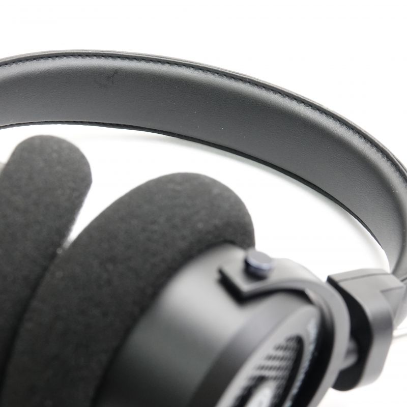 GW100x