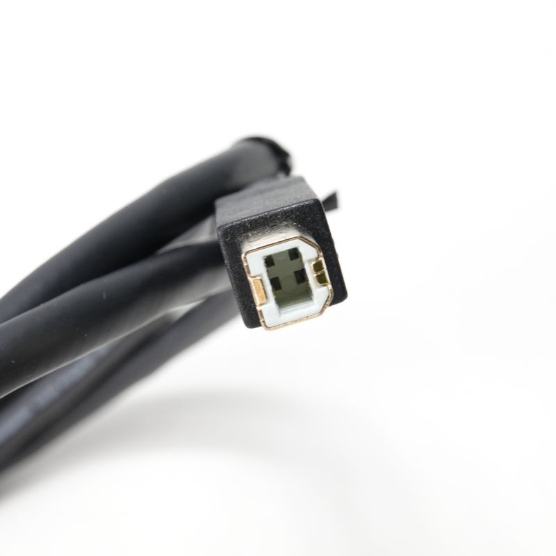 SUS-020 USB Type C - USB B 1.2