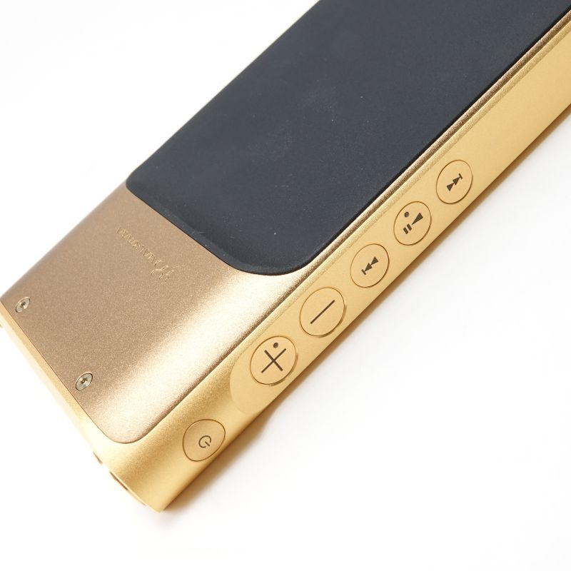 NW-WM1ZM2 [NW-WM1ZM2 C]