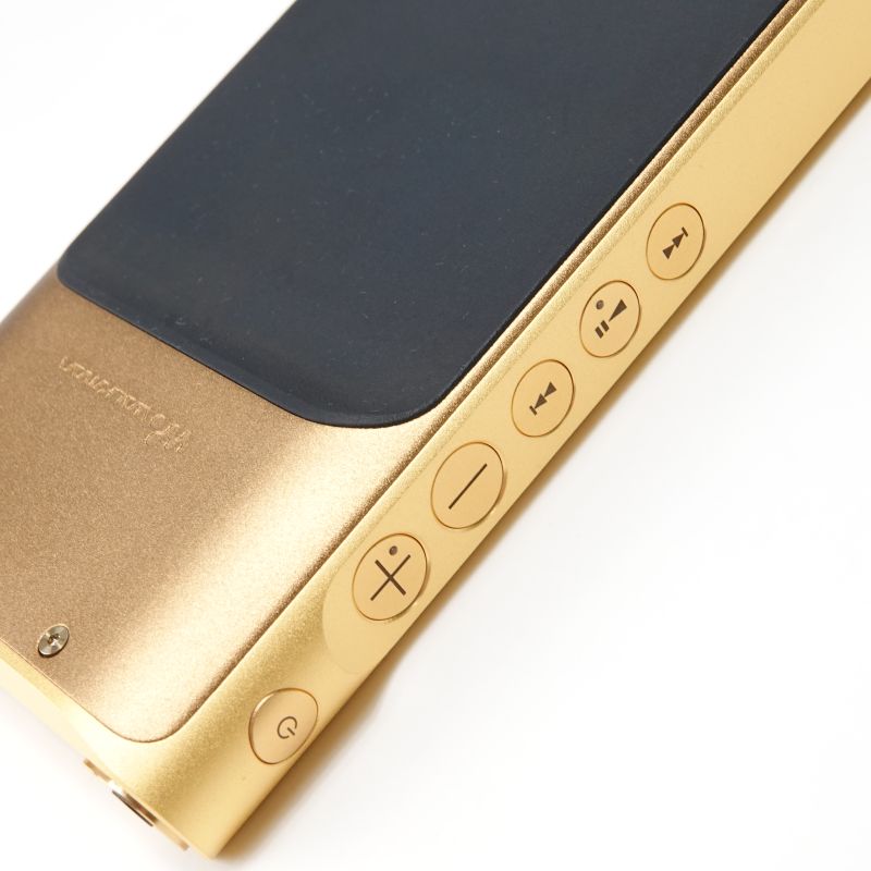 NW-WM1ZM2 [NW-WM1ZM2 C]