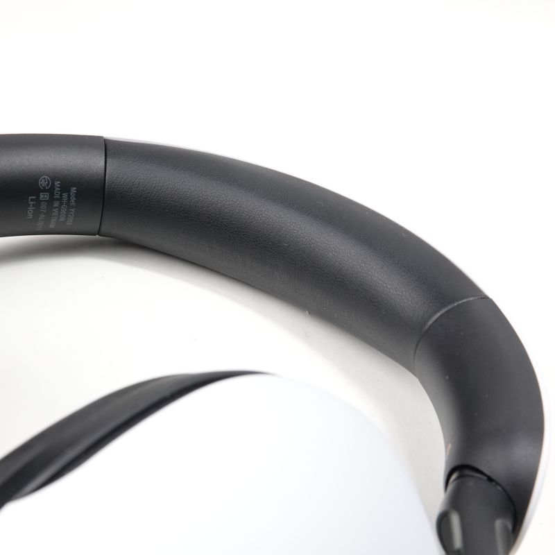 INZONE H9 [WH-G900N WZ]