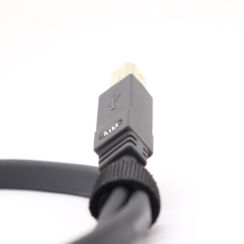 UA1-P010