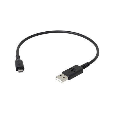 ATH-WS660BT GBL