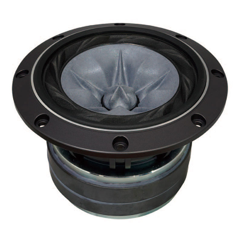 FOSTEX FW168HP