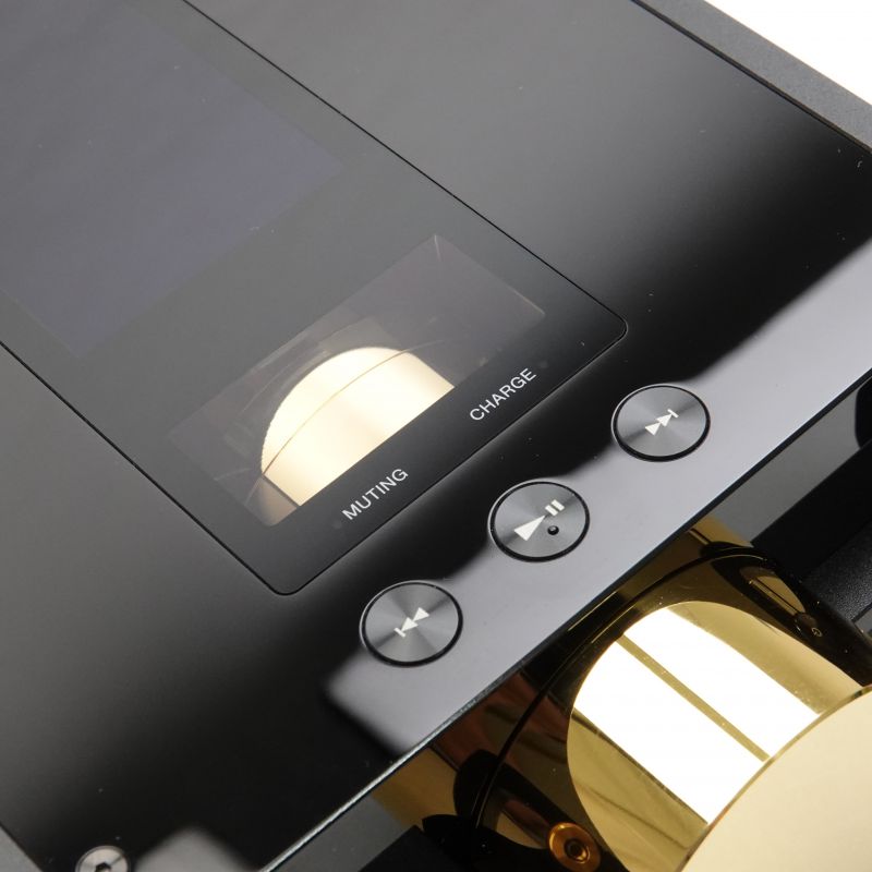 DMP-Z1