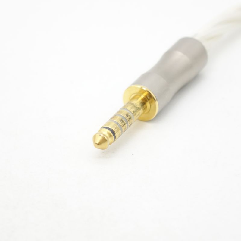 うすせみワークス IC TIGER Advance