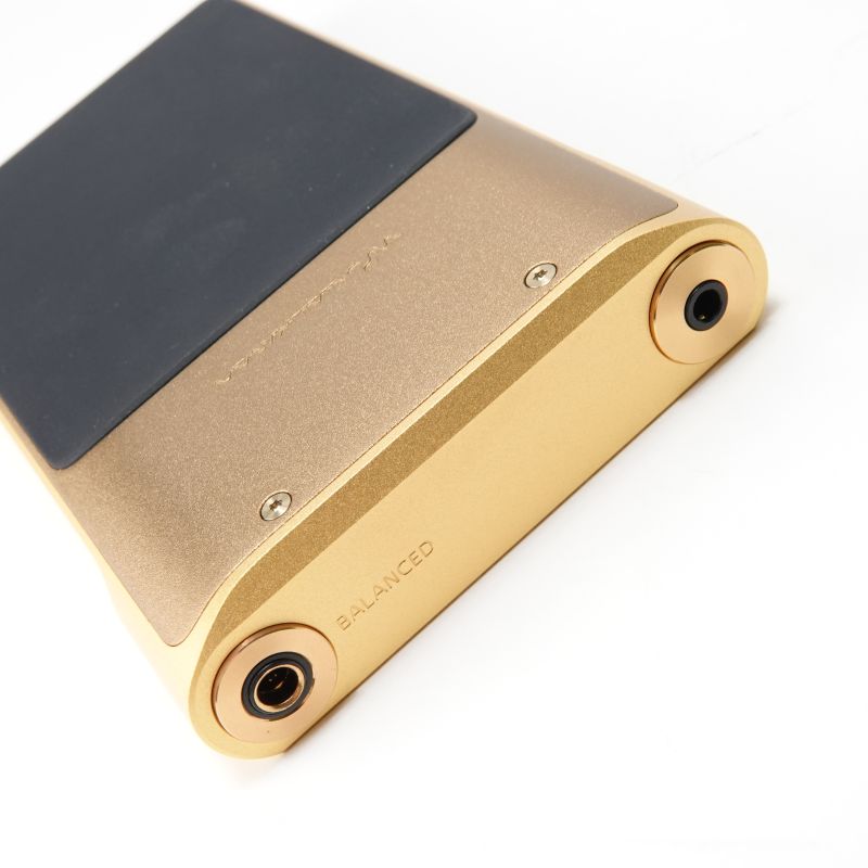 NW-WM1ZM2 [NW-WM1ZM2 C]