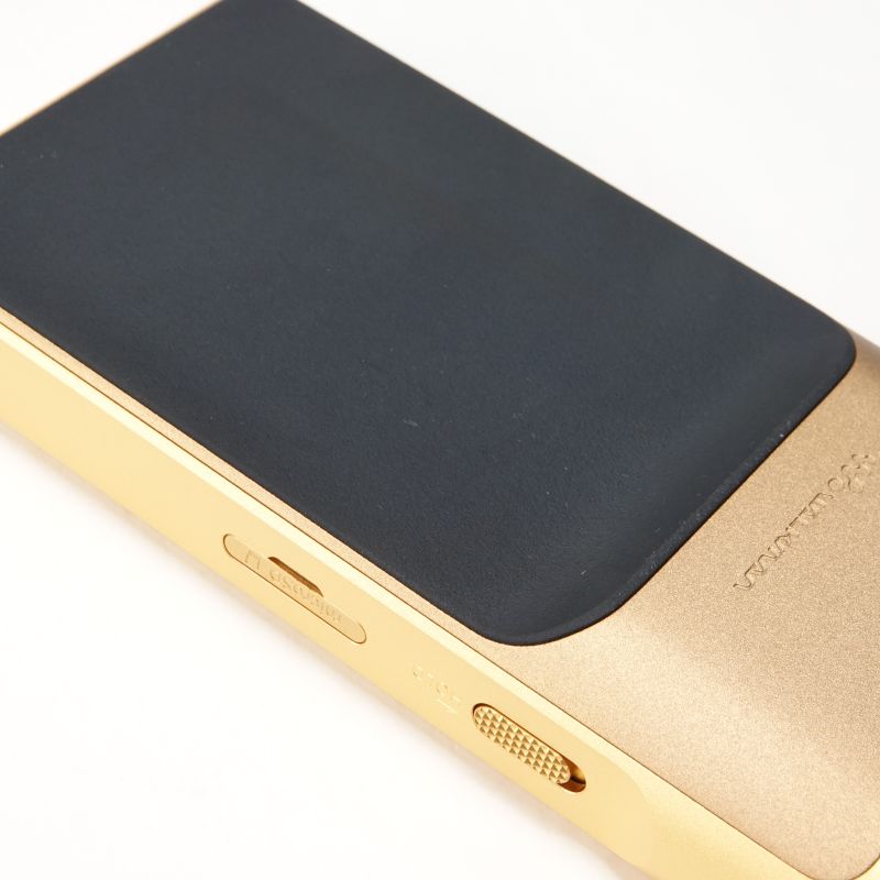 NW-WM1ZM2 [NW-WM1ZM2 C]