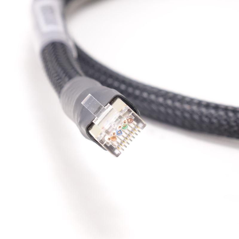 Atmosphere SX Ethernet/1.0m