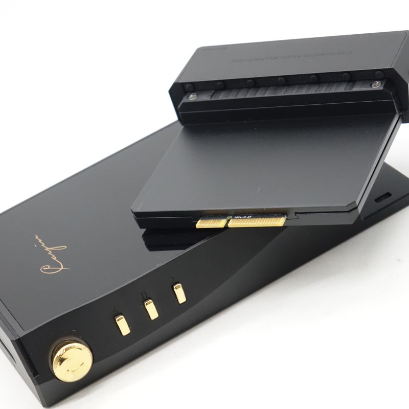 N6iii DAP/E203 [SPK-A006-E203]