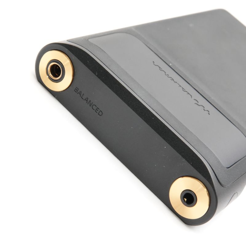 NW-WM1AM2 [NW-WM1AM2 C]