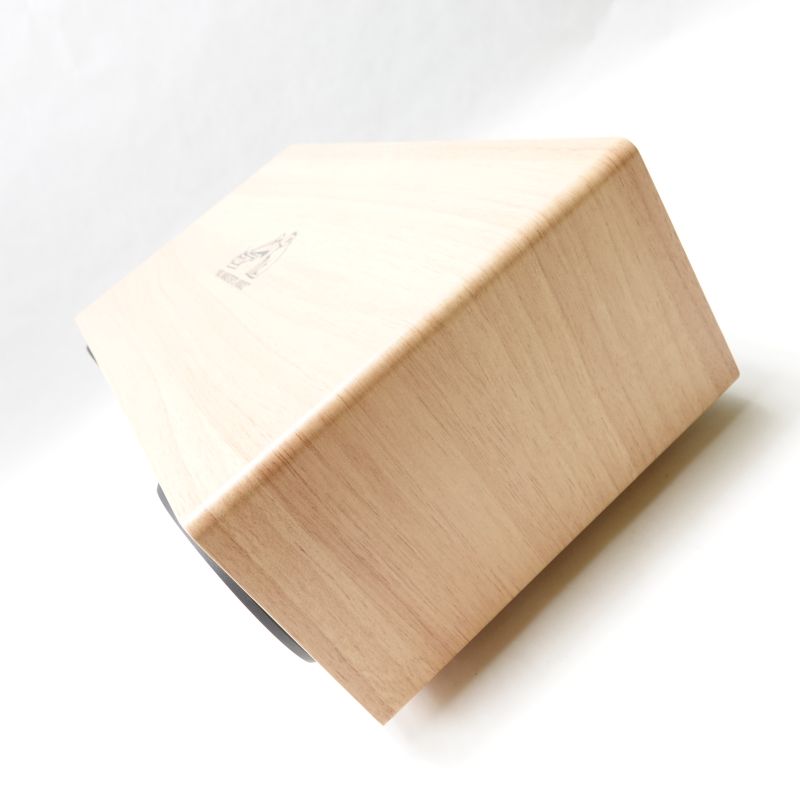 EX-DM10