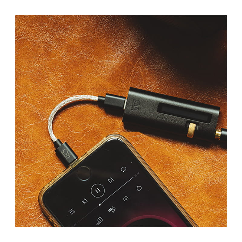 Shanling (シャンリン) L3 Lightning to USB-C OTGケーブル｜ポータブルプレーヤー用アクセサリー (Portable  Audio Accessories)｜フジヤエービックネットショップ