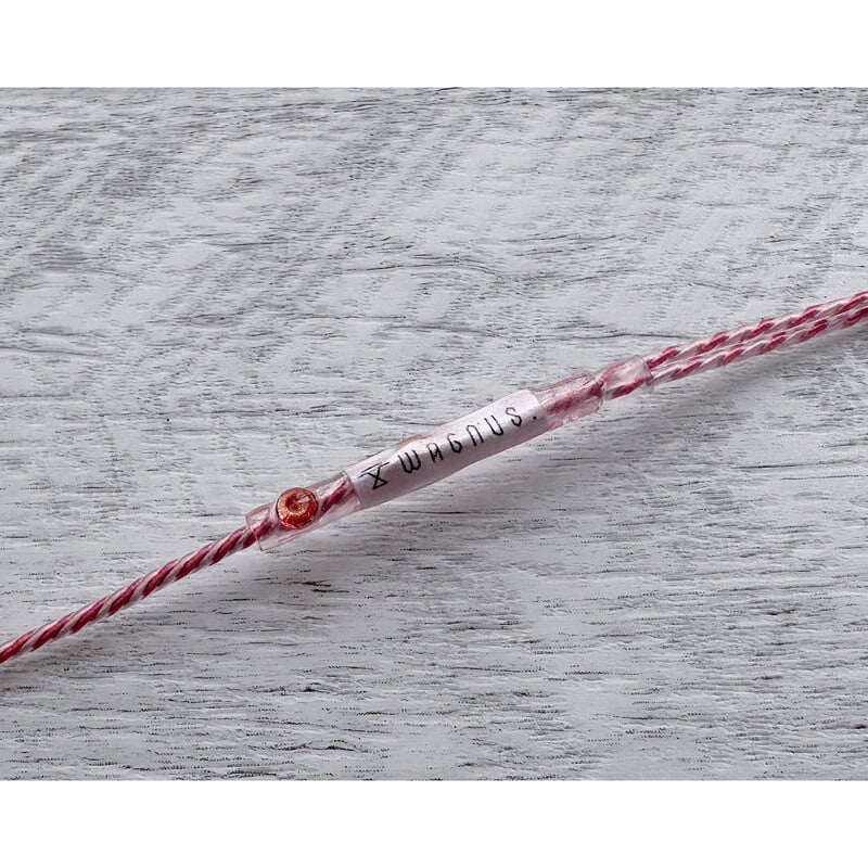 Padmanya Sheep / 4.4mm 5極 トープラ販売製 CINQBES 純銅材 銀ストレートメッキプラグ / CINQBES 銀ストレートメッキ Custom 2pin / パパラチアサファイア（合成）装飾