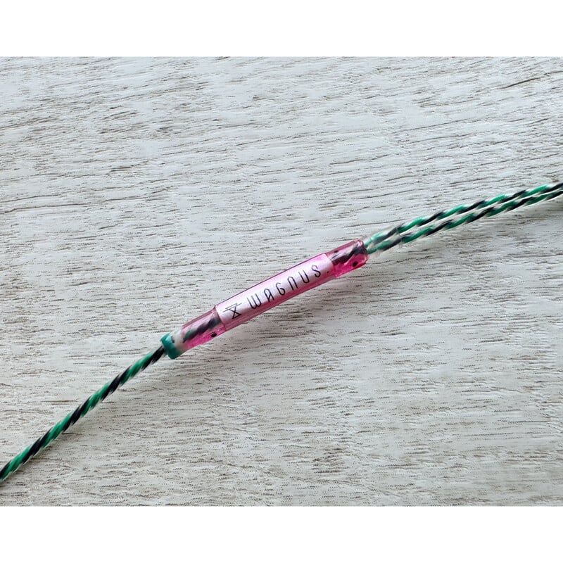 Watermelon Lily / 4.4mm 5極 AEC製 金メッキプラグ / Custom 2pin / ロゴ＆イヤーコネクタアートワーク