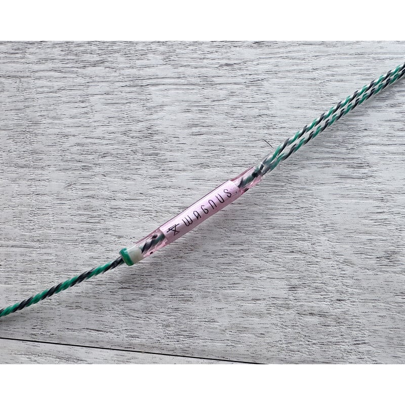 Watermelon Lily / 4.4mm 5極 AEC製 金メッキプラグ / MMCX / ロゴ＆イヤーコネクタアートワーク