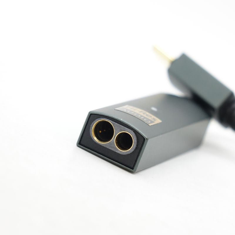 GO link Max [IFI-GO-LINKMAX]