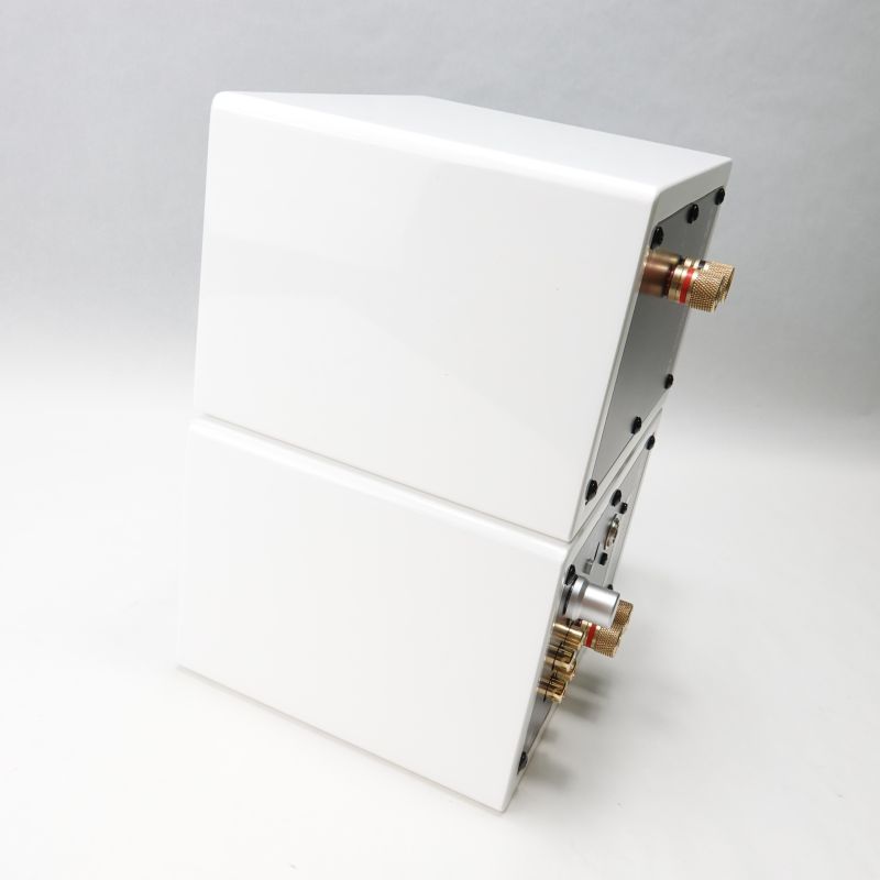 A2+ Wireless H.White