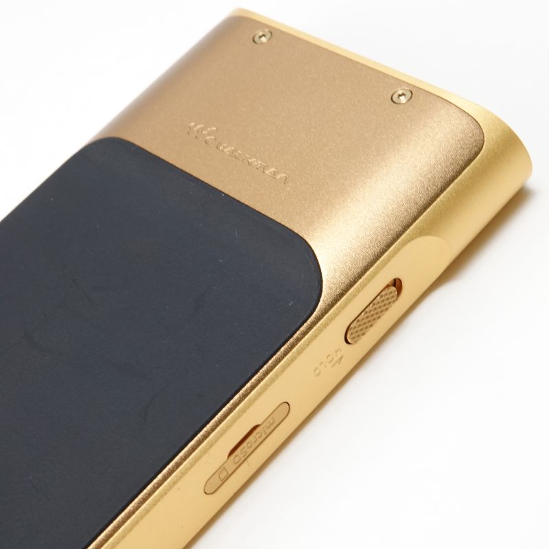 NW-WM1ZM2 [NW-WM1ZM2 C]