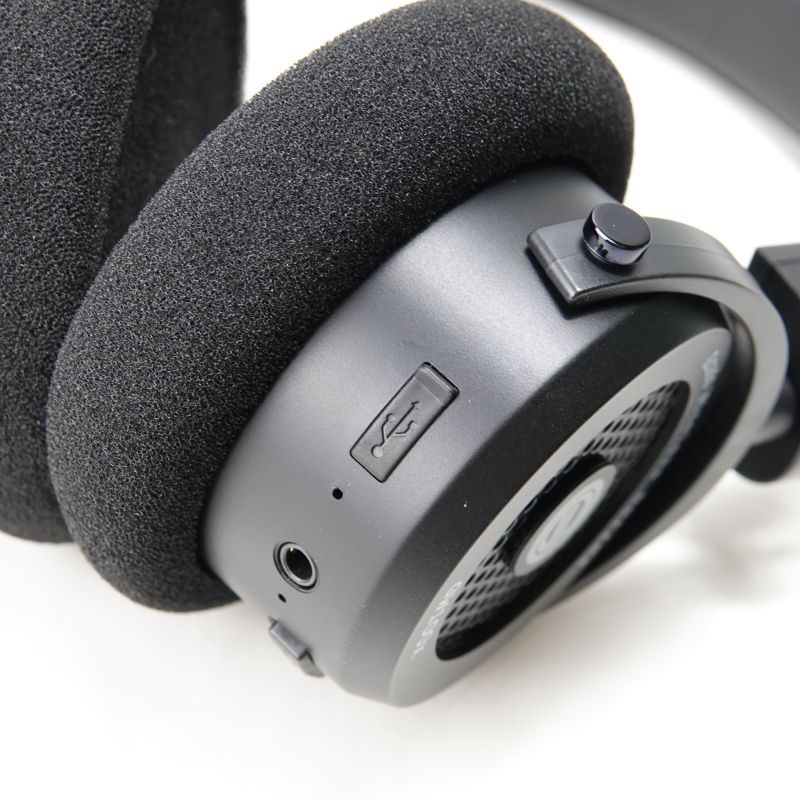 GW100x