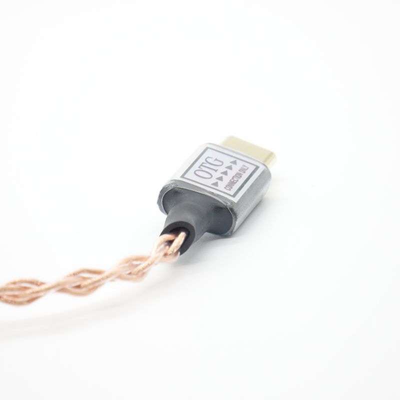 オーディオみじんこ Dolce OTG（USB Type-C to Type-C AB+ランク 中古
