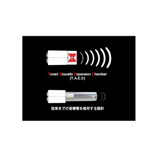 ARA [CAM-5508]