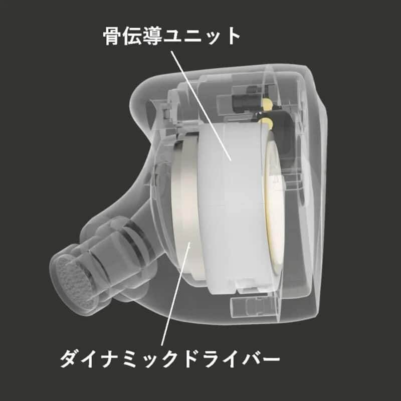 Winter シルバー (4.4mmプラグ)