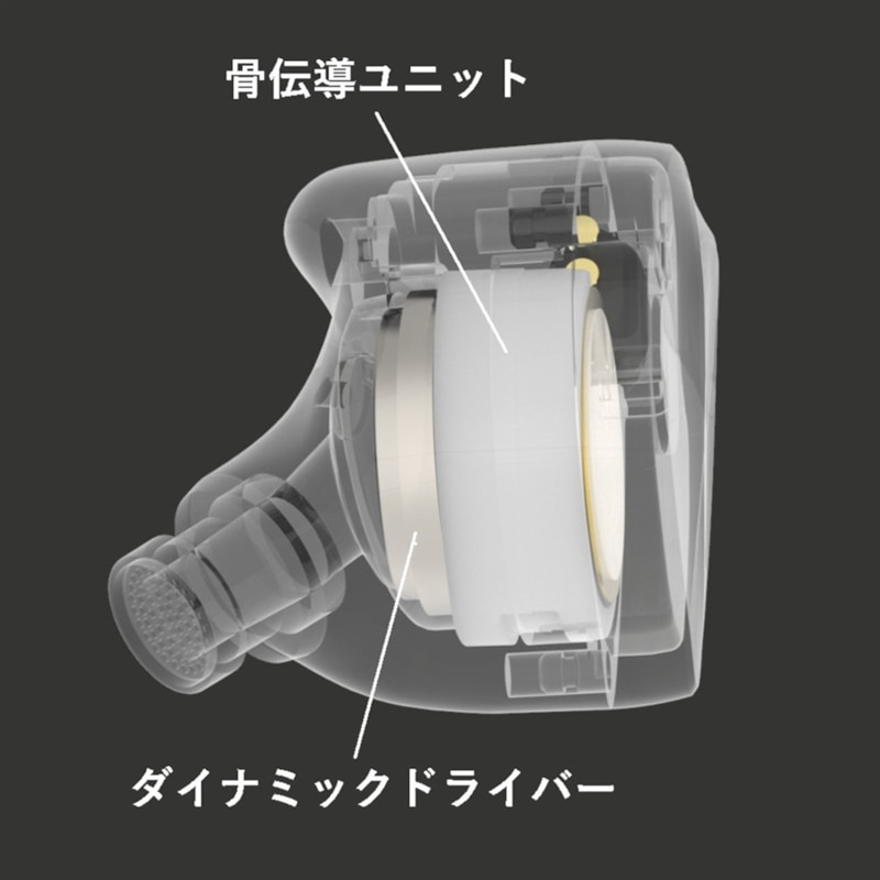 Winter シルバー (4.4mmプラグ)