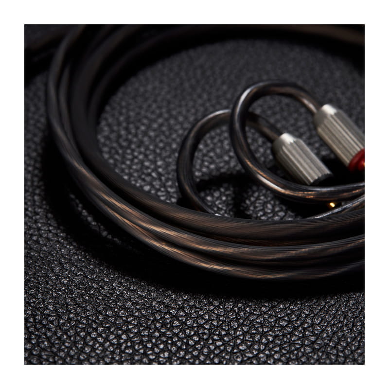 ARX210 Pentaconn Ear Long-3.5mm [ARX210-PENTACONN-3.5]