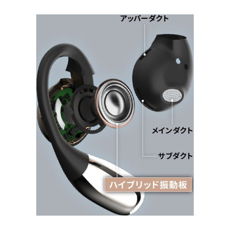 TE-H1-BK